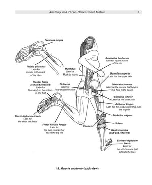 InjuryFree Running: How to Build Strength, Improve Form, and Treat/Prevent Injuries,Used
