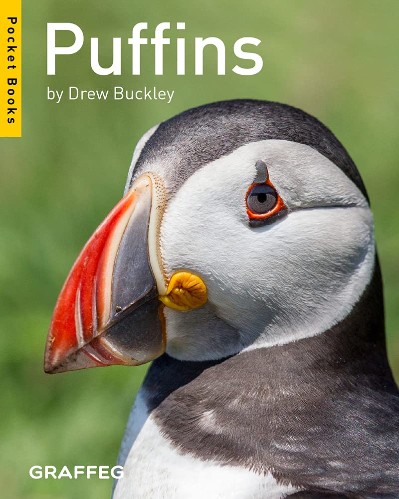 Puffins (Pocket Books),Used
