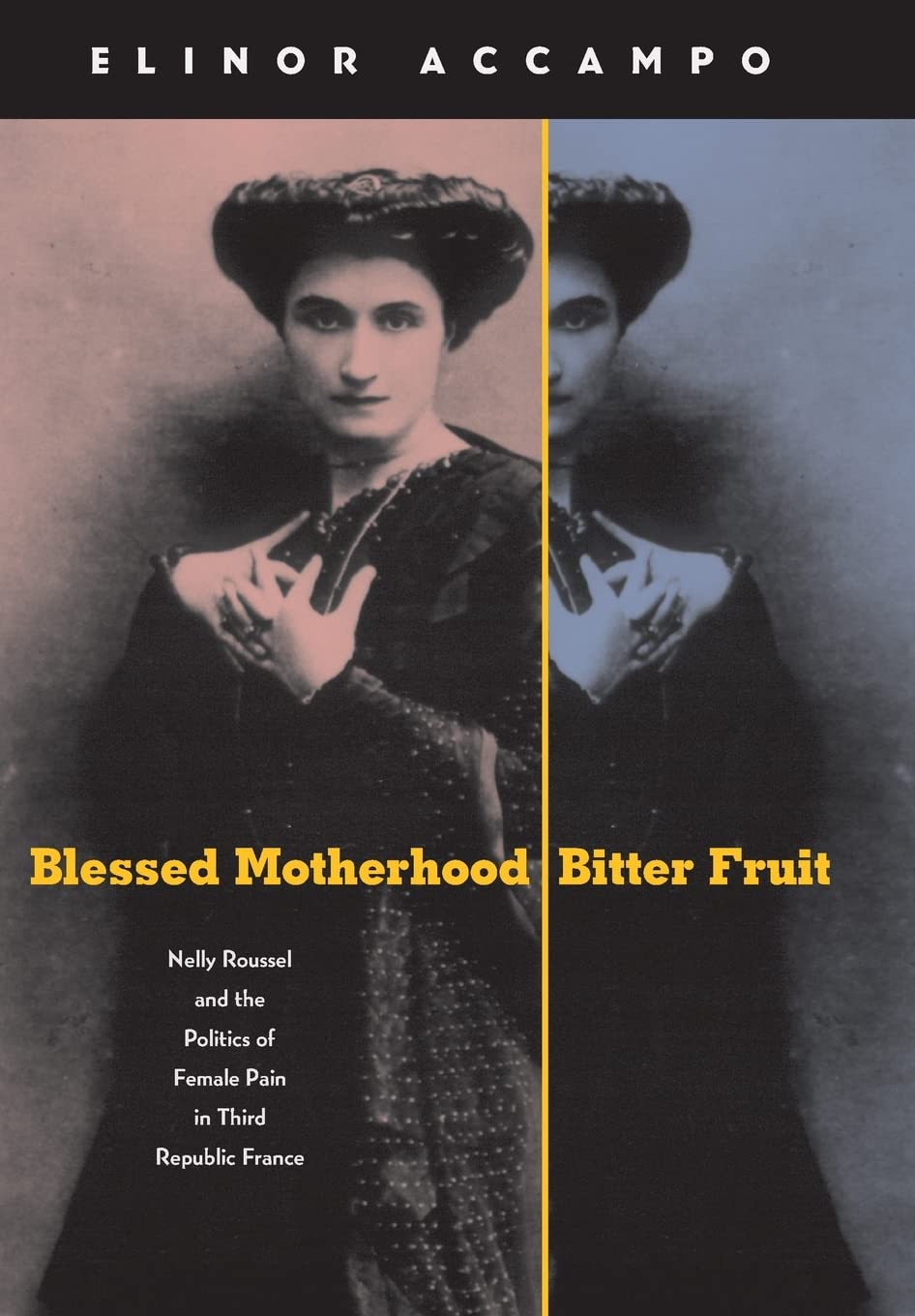 Blessed Motherhood, Bitter Fruit: Nelly Roussel and the Politics of Female Pain in Third Republic France,Used