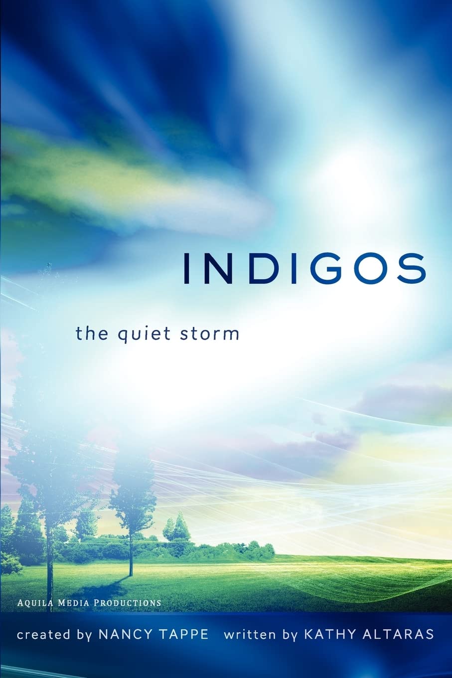 Indigos: The Quiet Storm,Used