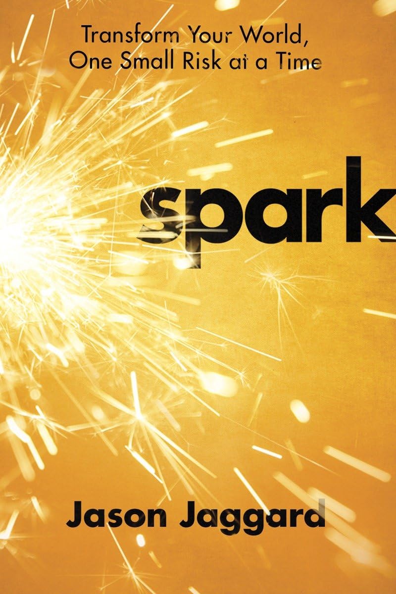 Spark: Transform Your World, One Small Risk at a Time,Used