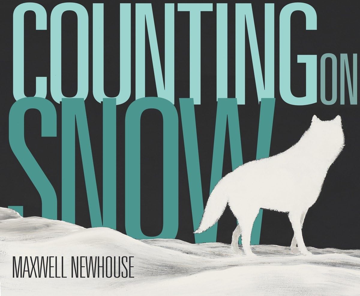 Counting on Snow,Used