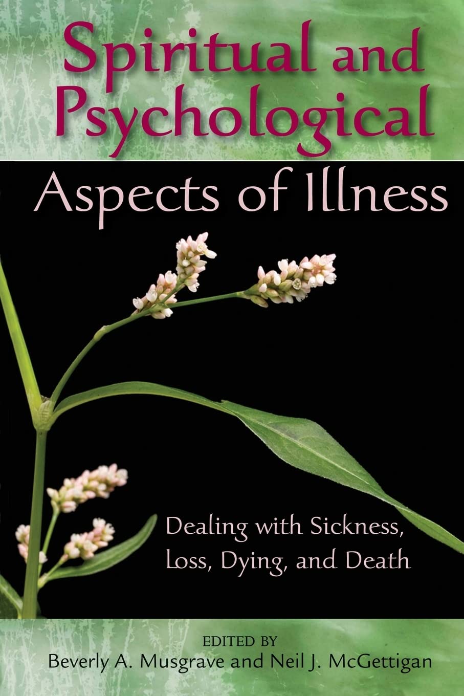Spiritual And Psychological Aspects Of Illness: Dealing With Sickness, Loss, Dying, And Death,Used