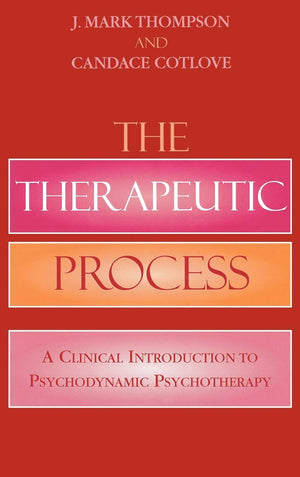 The Therapeutic Process: A Clinical Introduction to Psychodynamic Psychotherapy,Used