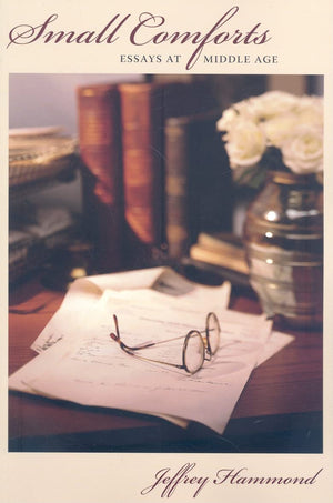 Small Comforts: Essays at Middle Age,Used