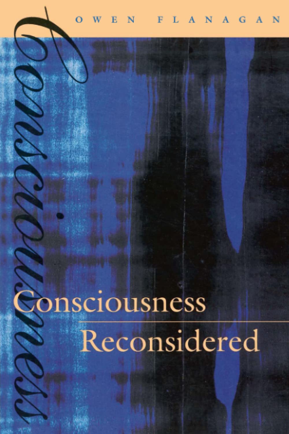 Consciousness Reconsidered (Bradford Books),Used