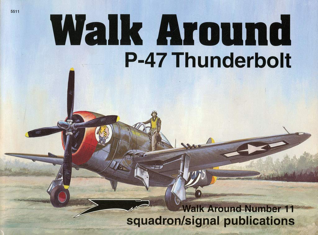 P47 Thunderbolt  Walk Around No. 11-used