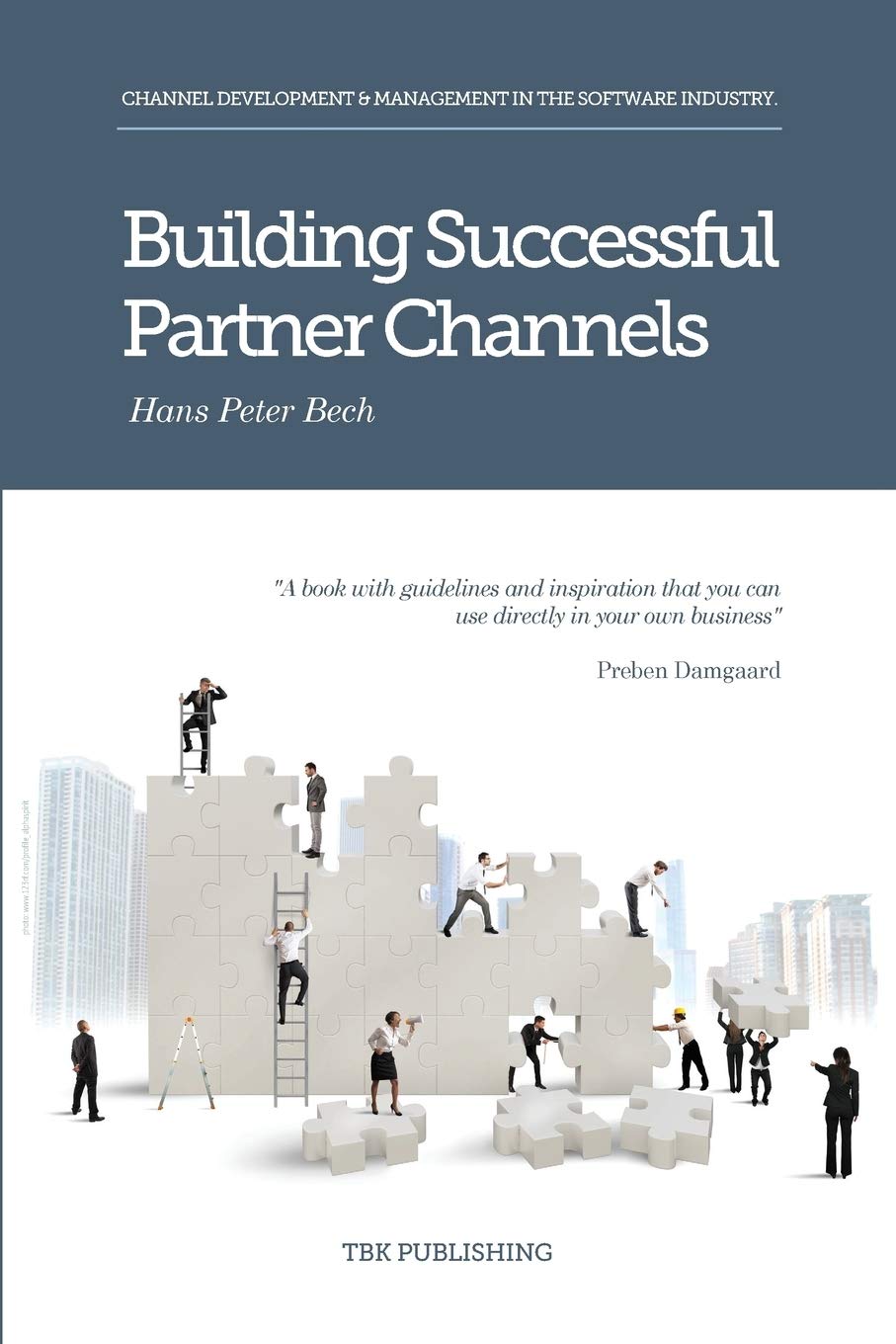 Building Successful Partner Channels: in the software industry (International Business Development in the Software Industry),Used