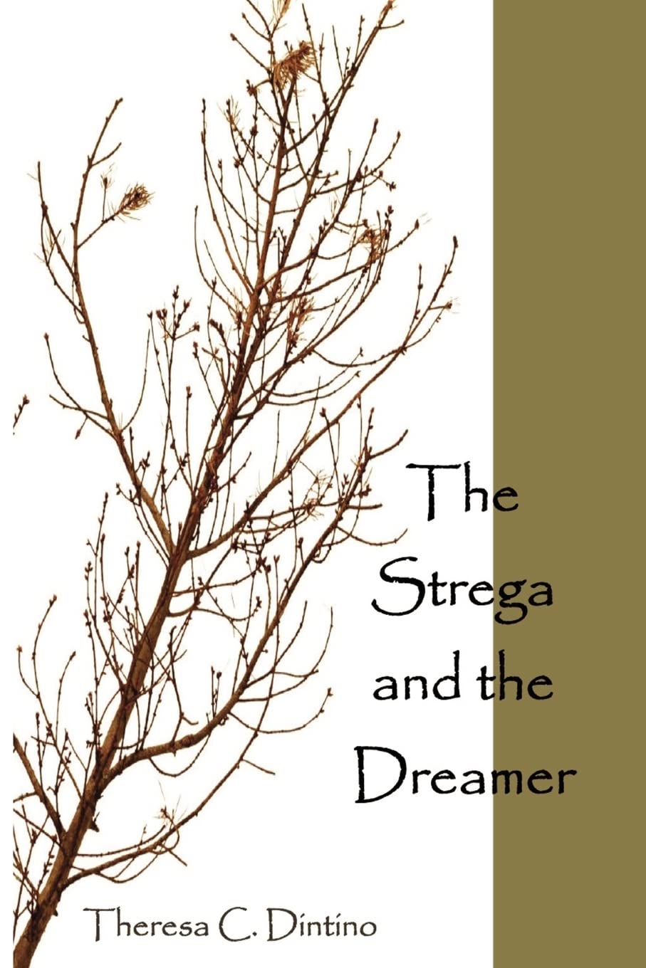 The Strega and the Dreamer,New
