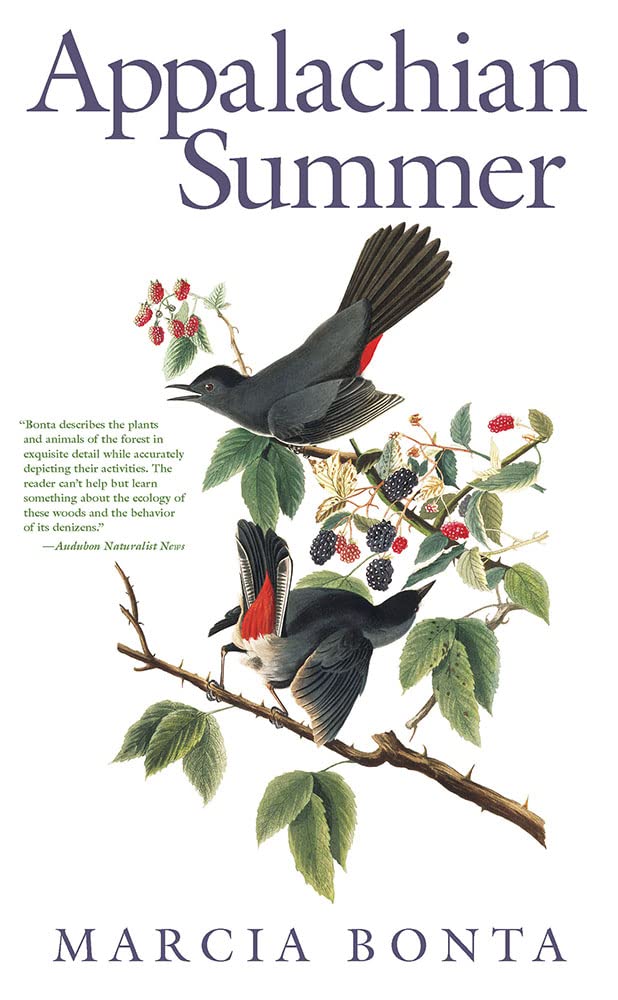 Appalachian Summer,Used