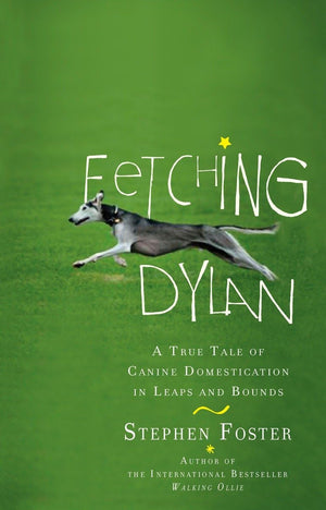 Fetching Dylan: A True Tale Of Canine Domestication In Leaps And Bounds-new