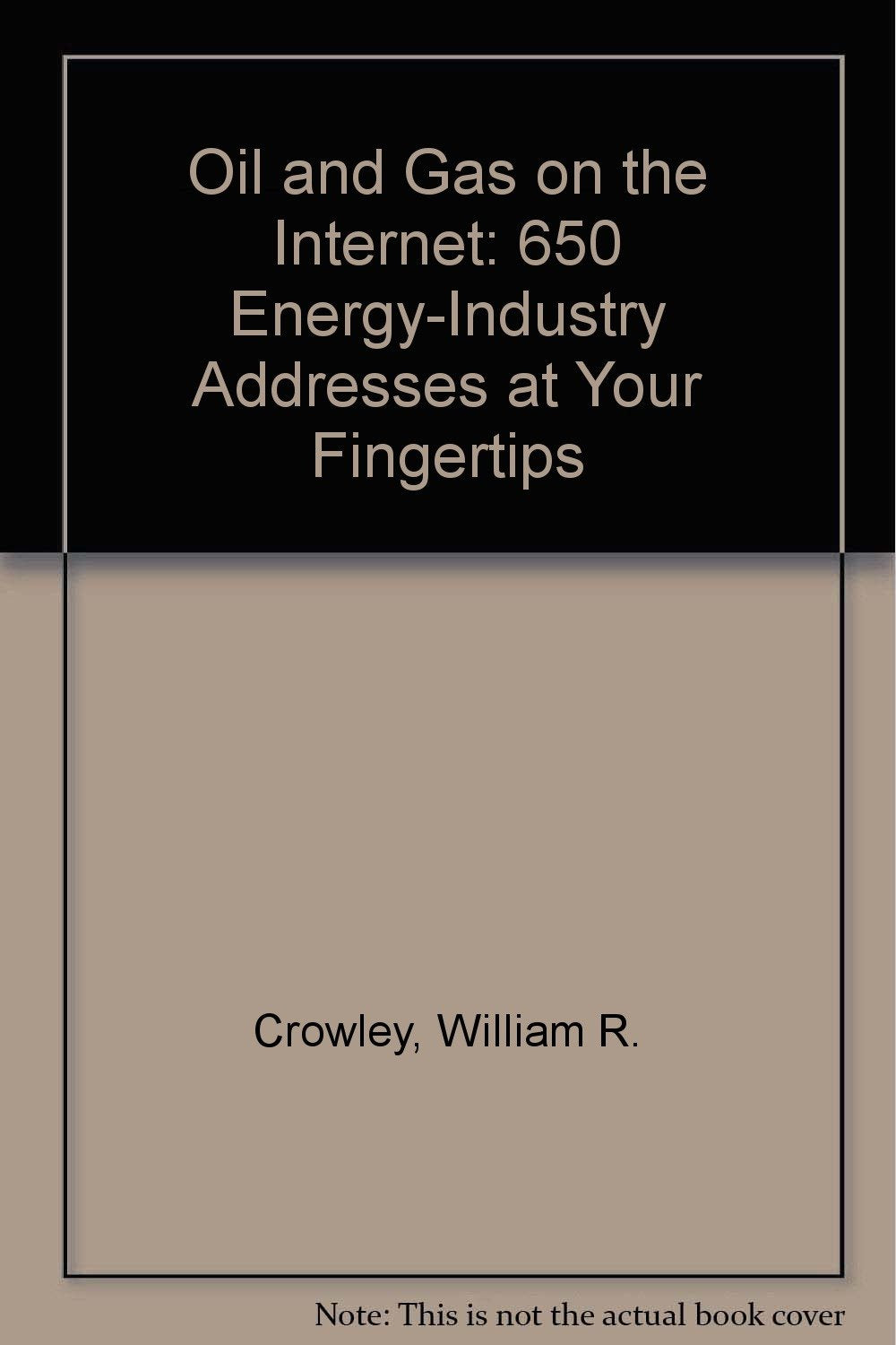 Oil and Gas on the Internet: 650 EnergyIndustry Addresses at Your Fingertips,Used