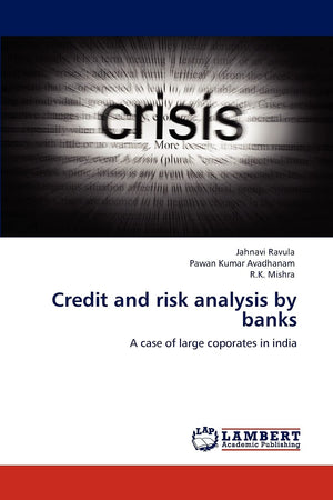 Credit and risk analysis by banks: A case of large coporates in india,Used