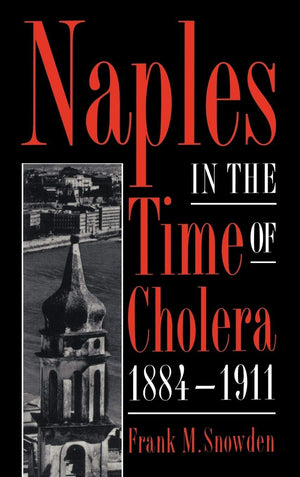 Naples In The Time Of Cholera, 18841911