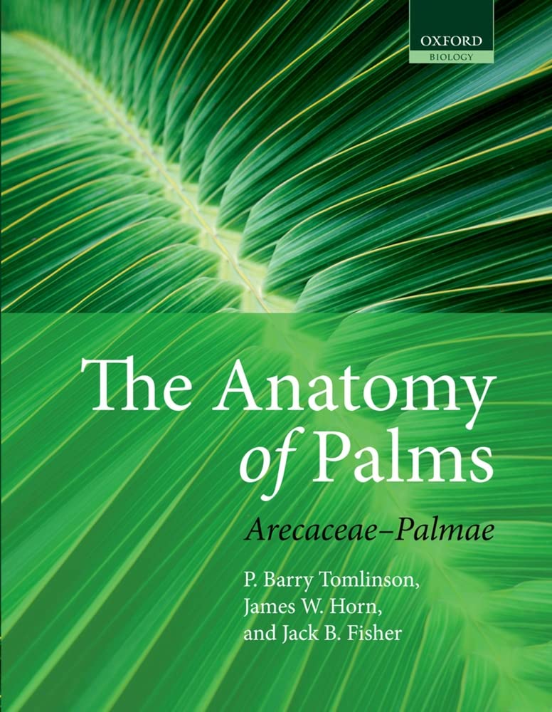 The Anatomy Of Palms: Arecaceae  Palmae