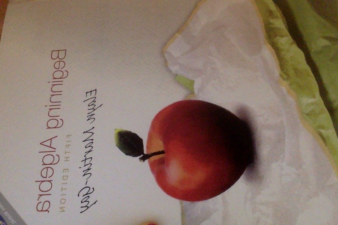 Beginning Algebra,New