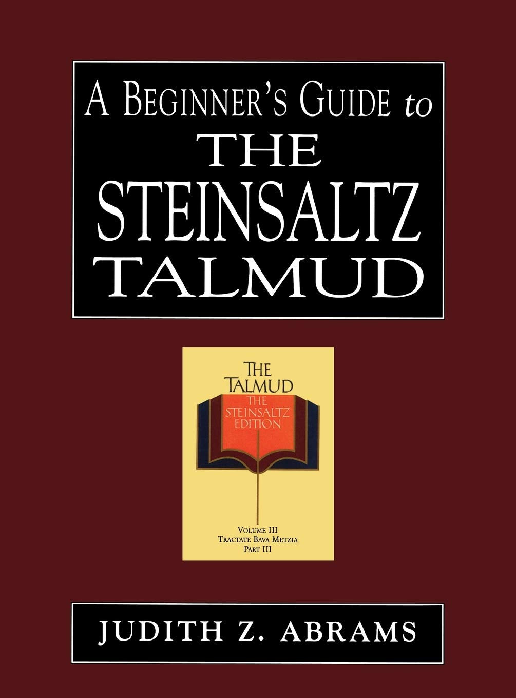 A Beginners Guide to the Steinsaltz Talmud