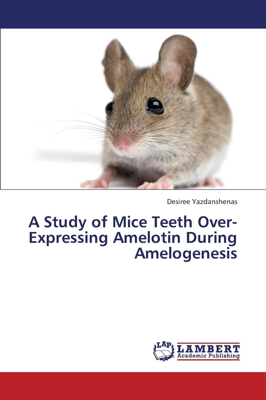 A Study of Mice Teeth OverExpressing Amelotin During Amelogenesis,Used