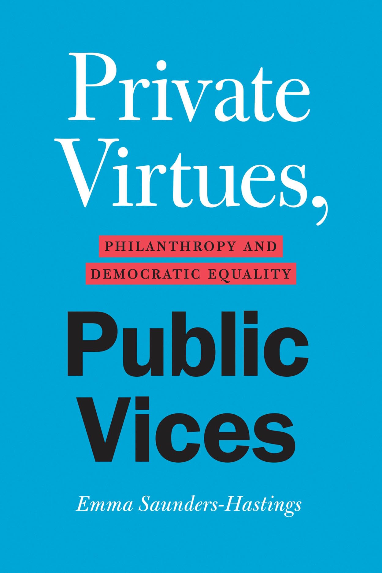 Private Virtues, Public Vices: Philanthropy and Democratic Equality,New
