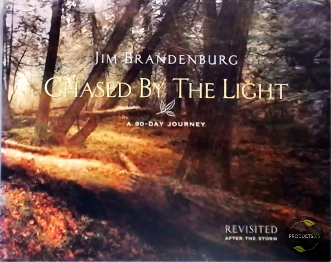 Chased by the Light: A 90Day Journey,Used