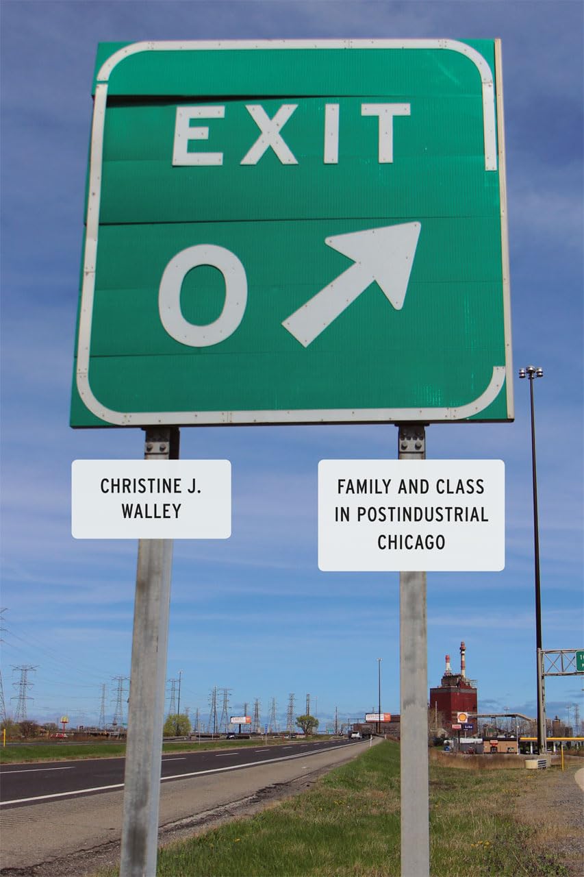 Exit Zero: Family And Class In Postindustrial Chicago,New