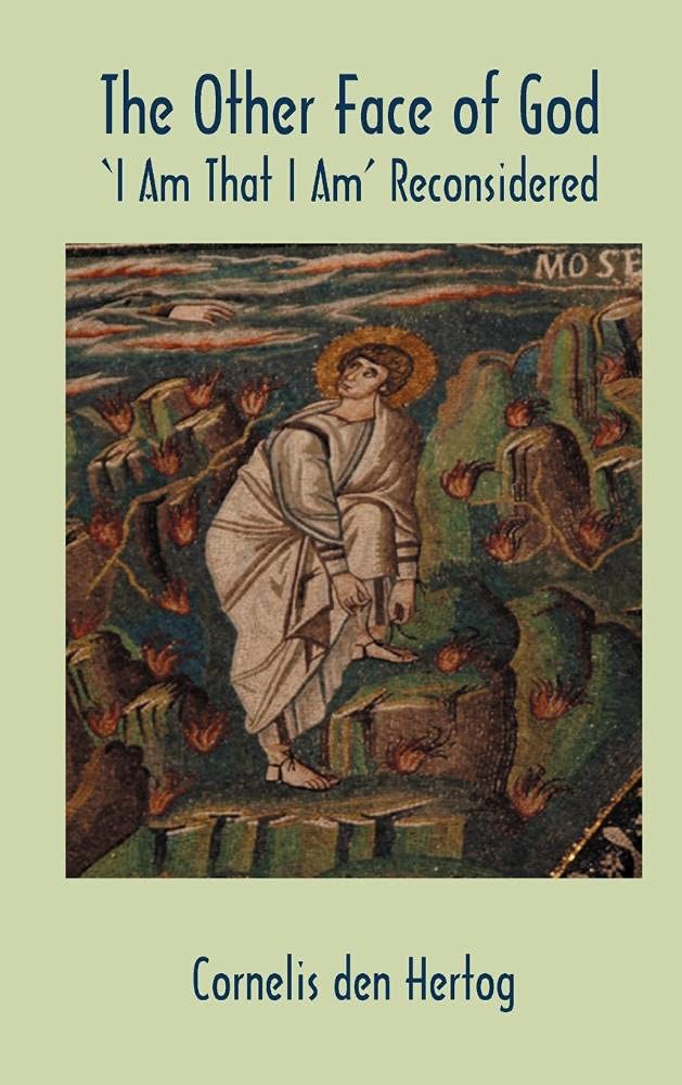 The Other Face Of God: 'I Am That I Am' Reconsidered (Hebrew Bible Monographs),Used