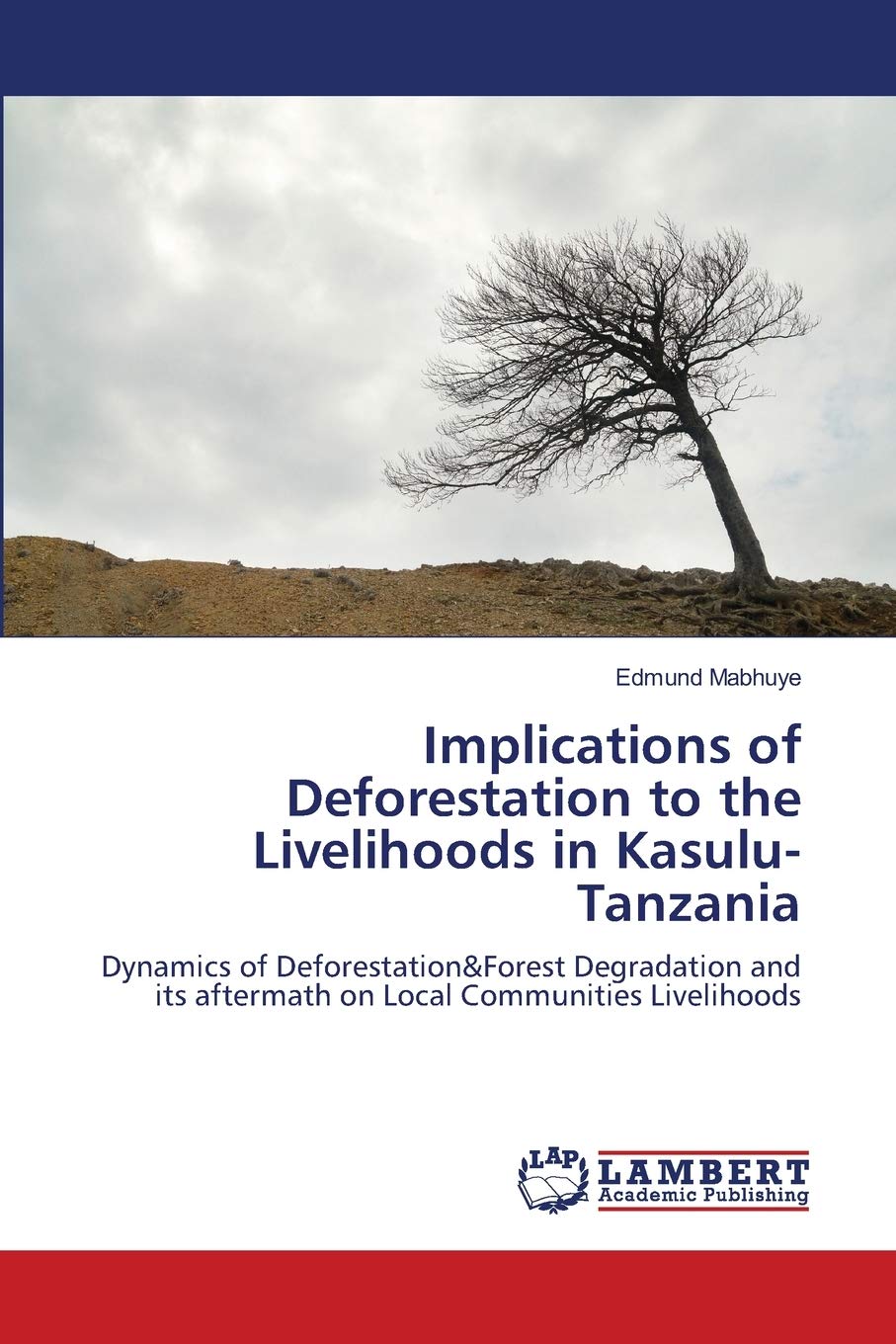 Implications of Deforestation to the Livelihoods in KasuluTanzania: Dynamics of Deforestation&Forest Degradation and its afterm,Used