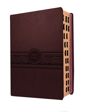 MEV Bible Personal Size Large Print Cherry Brown Indexed: Modern English Version,Used
