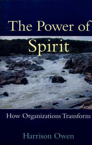 The Power of Spirit: How Organizations Transform,Used