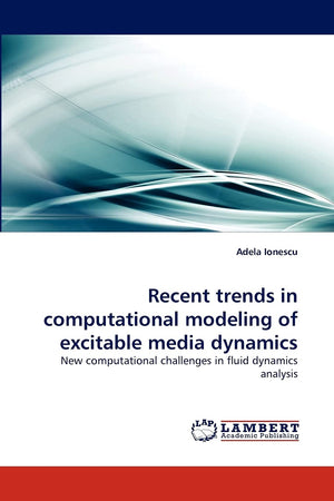 Recent trends in computational modeling of excitable media dynamics: New computational challenges in fluid dynamics analysis,Used