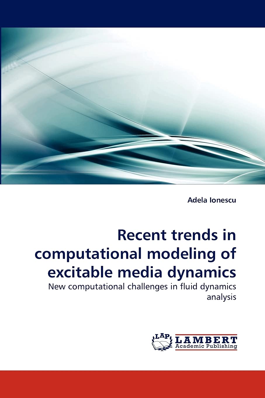 Recent trends in computational modeling of excitable media dynamics: New computational challenges in fluid dynamics analysis,Used