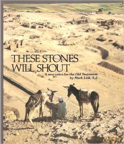These Stones Will Shout: A New Voice for the Old Testament,Used