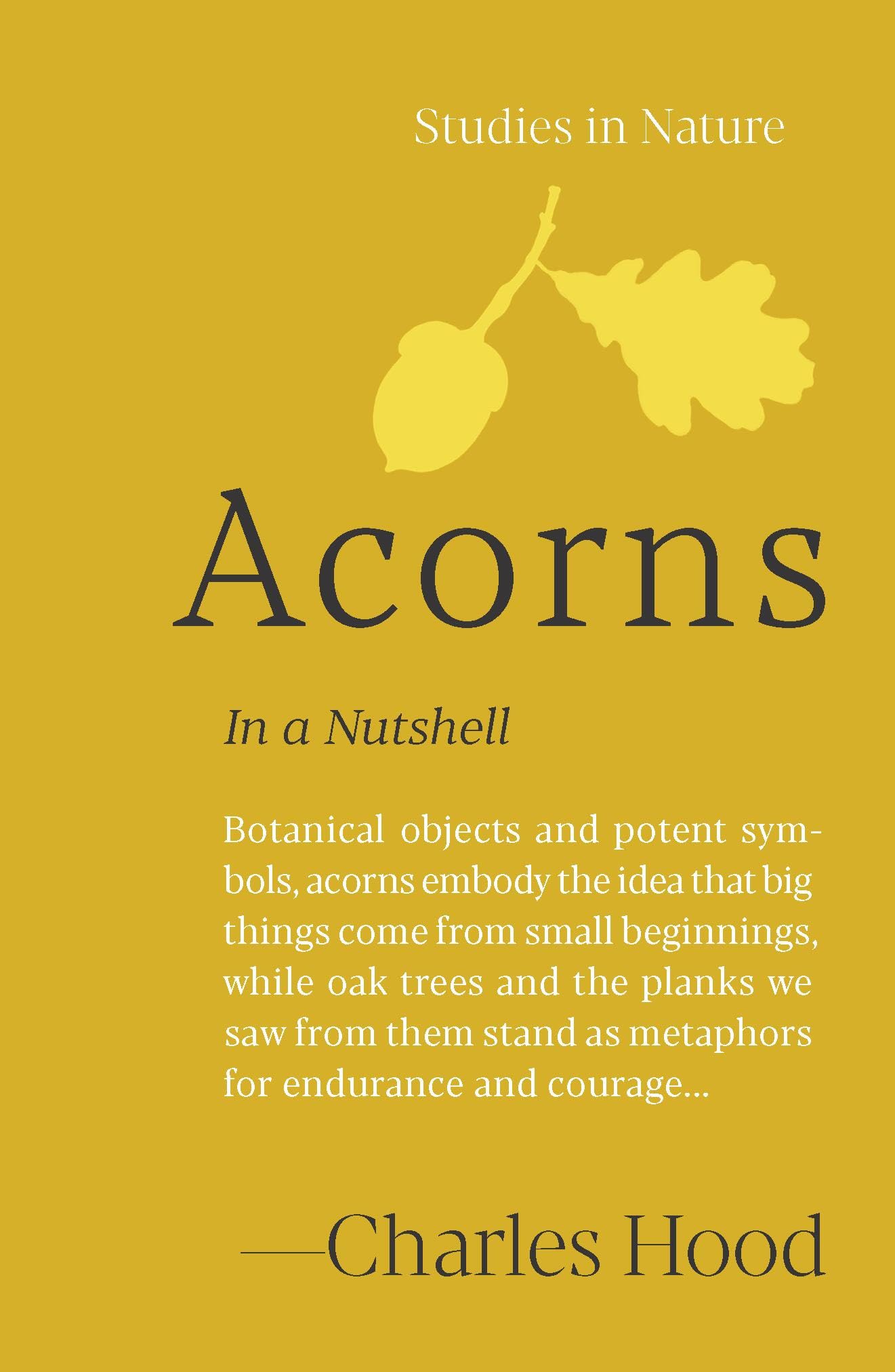 Acorns: In A Nutshell (Studies In Nature)
