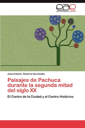 Paisajes de Pachuca durante la segunda mitad del siglo XX: El Centro de la Ciudad y el Centro Histrico (Spanish Edition),Used