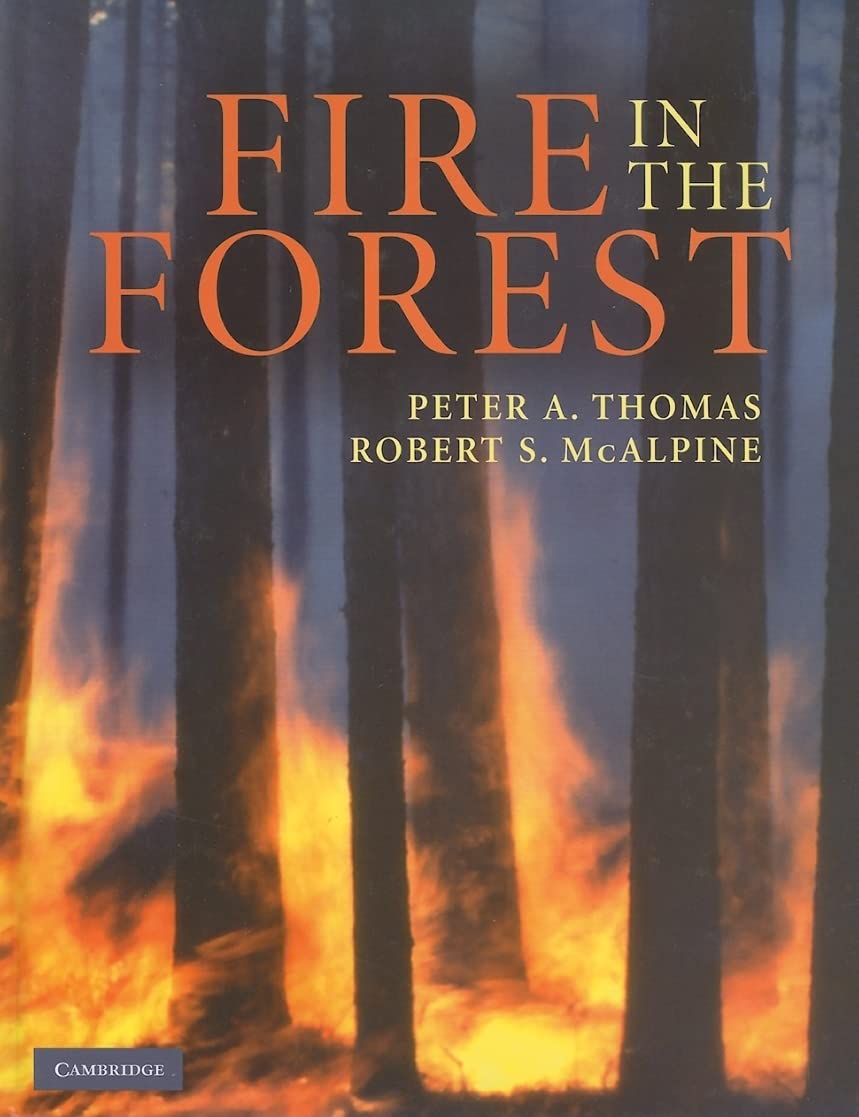 Fire in the Forest,Used