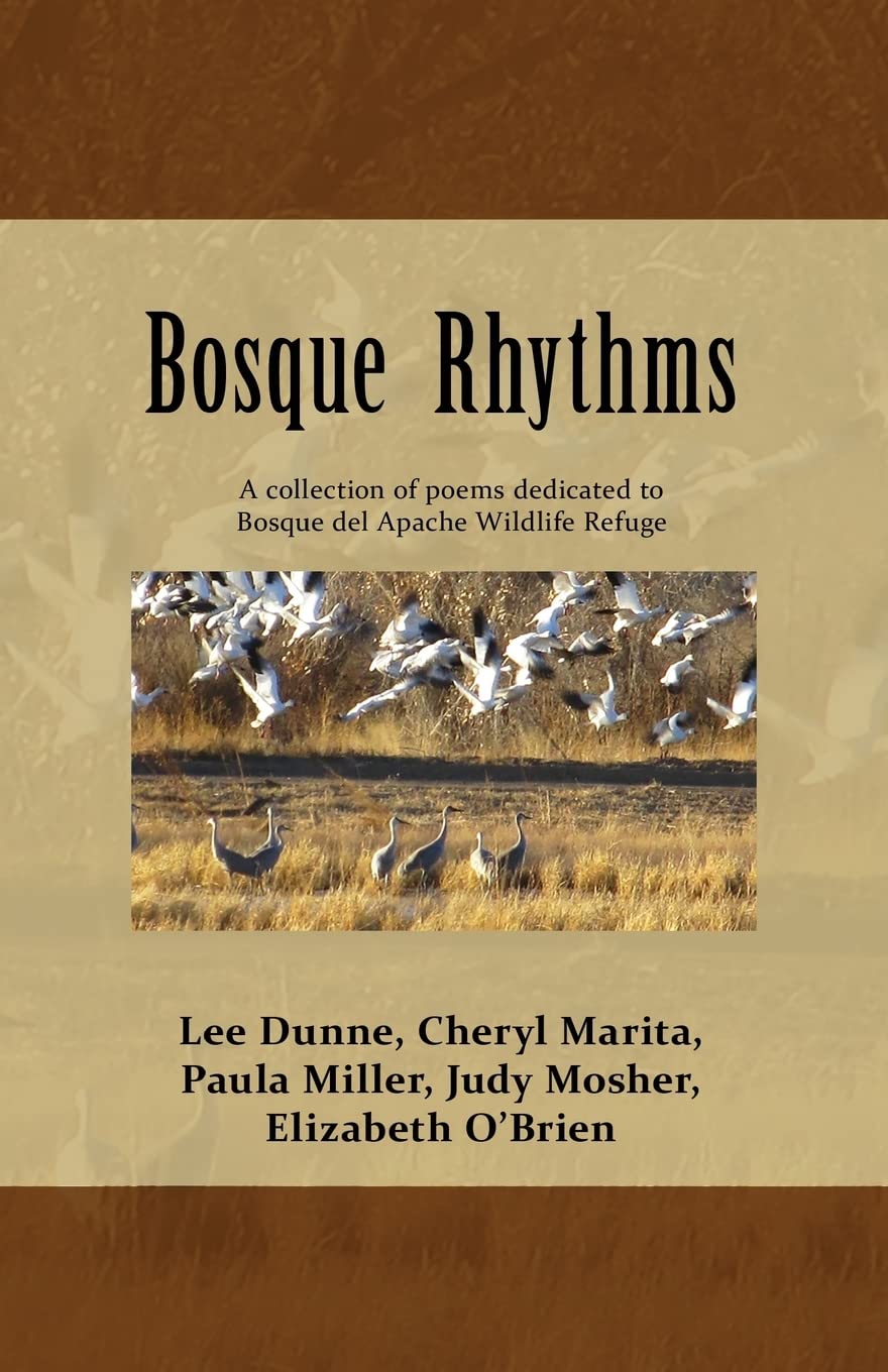 Bosque Rhythms: Poetry,Used