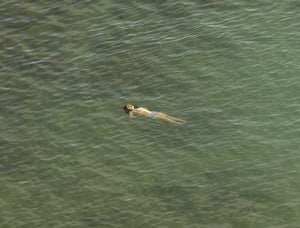Richard Misrach: The Mysterious Opacity Of Other Beings