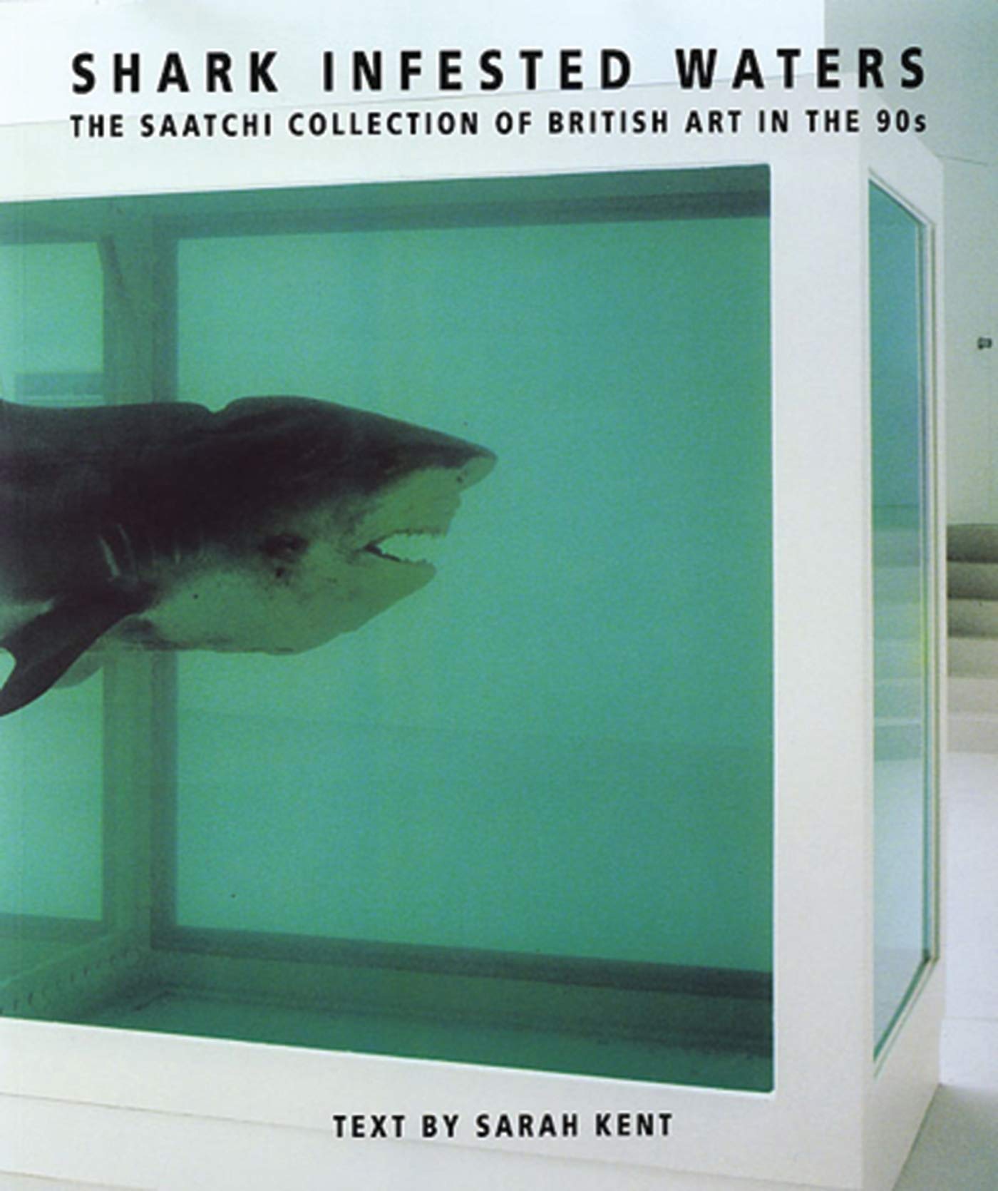 SharkInfested Waters: The Saatchi Collection of British Art in the 90s,Used