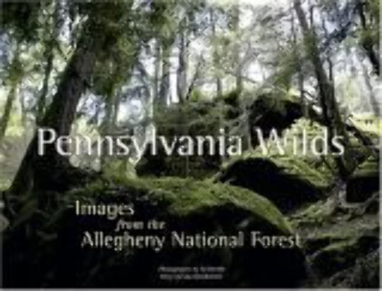 Pennsylvania Wilds: Images from the Allegheny National Forest,Used