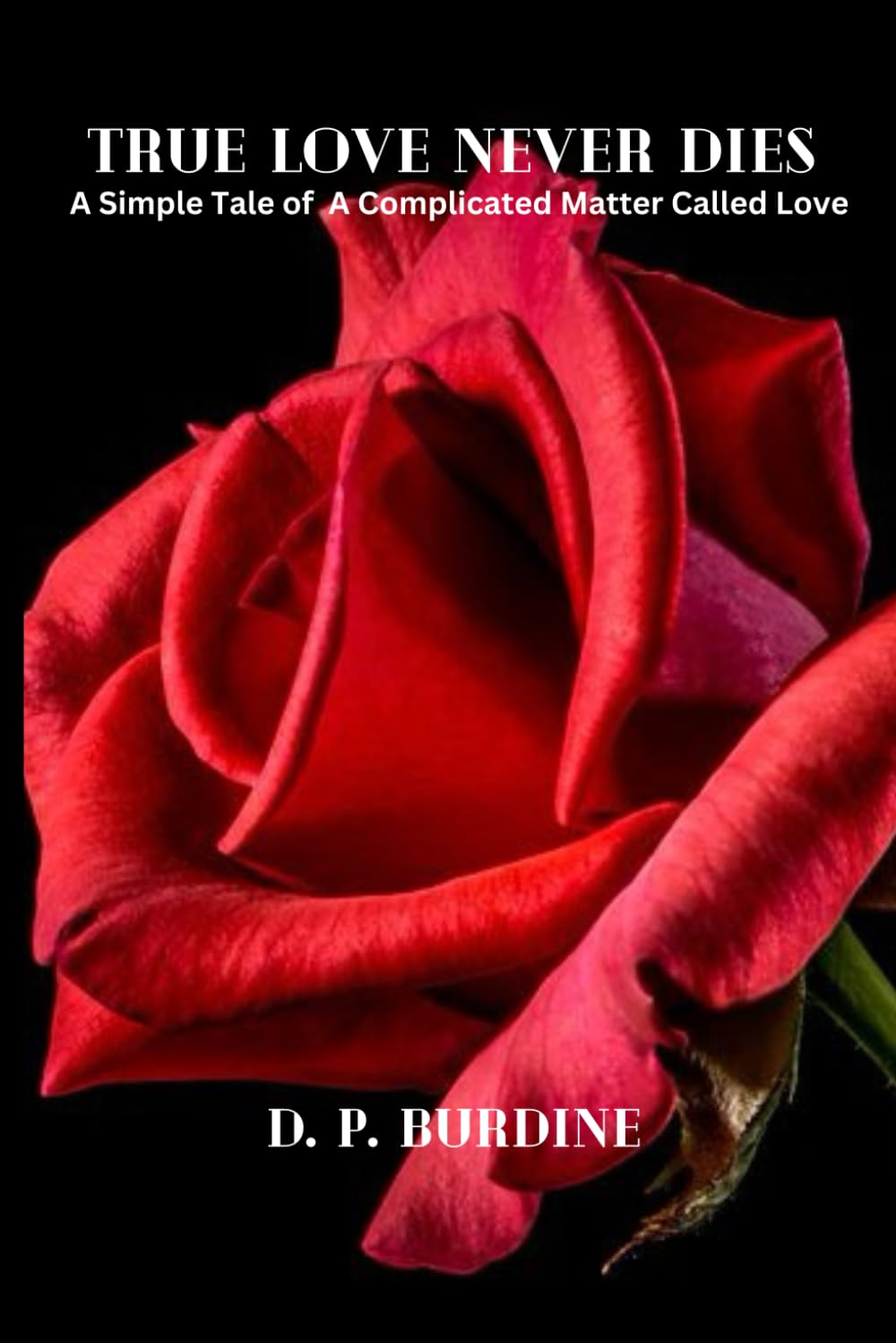 True Love Never Dies: A Simple Tale of a Complicated Matter Called Love!,Used