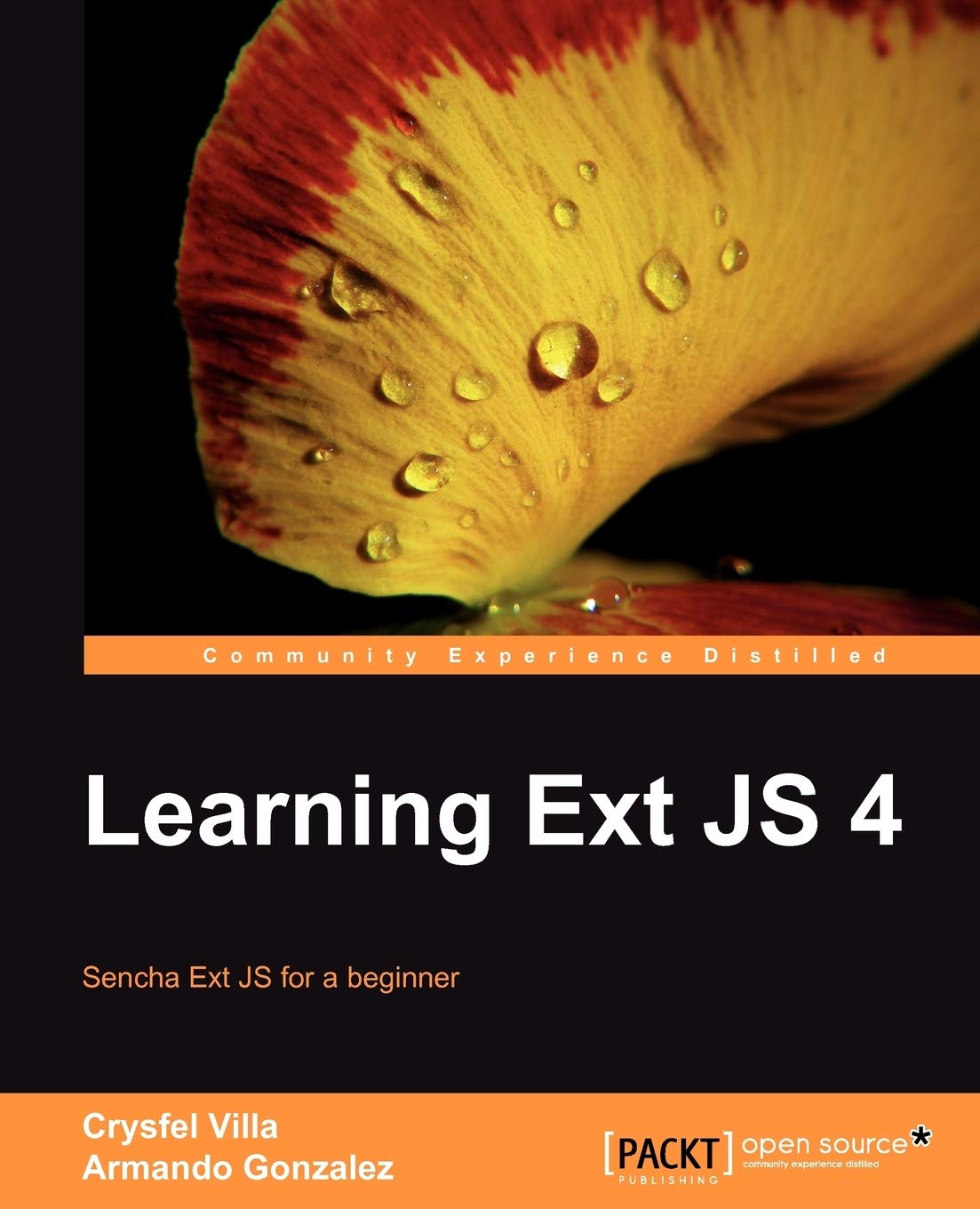 Learning Ext JS 4,Used
