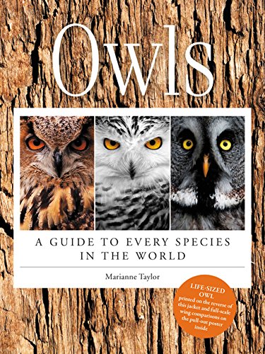 Owls: A Guide To Every Species In The World