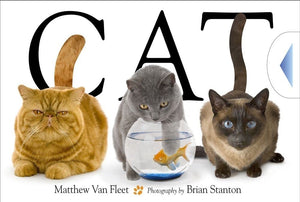 Cat,New