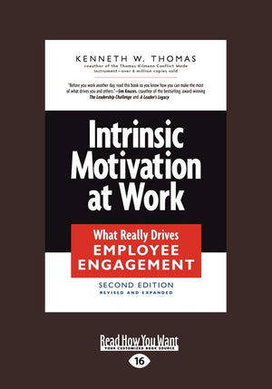 Intrinsic Motivation At Work: [Large Print Edition],Used
