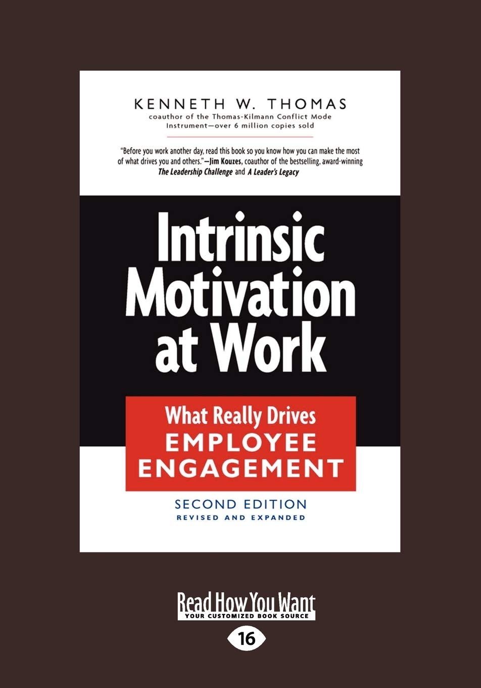 Intrinsic Motivation At Work: [Large Print Edition],Used