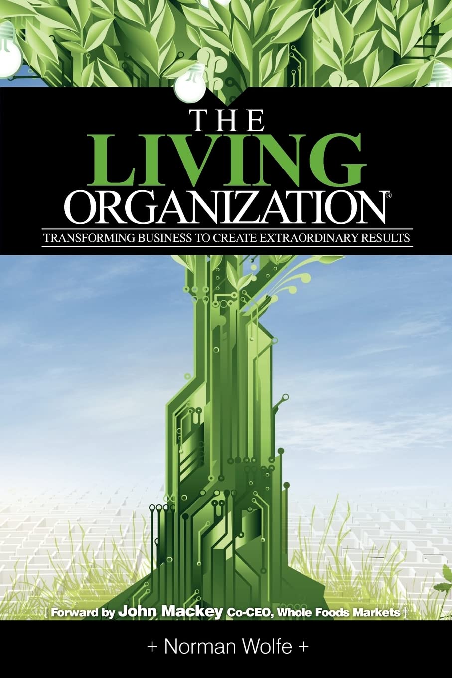 The Living Organization: Transforming Business To Create Extraordinary Results,Used