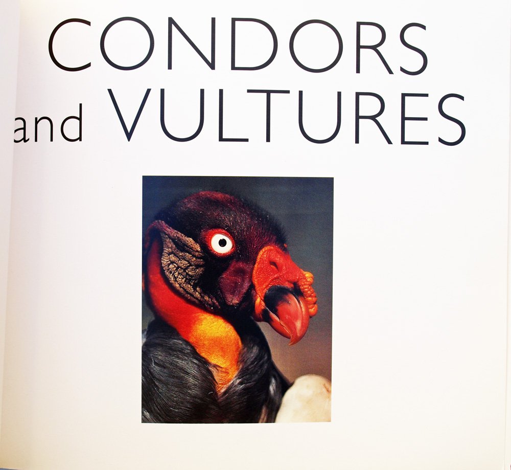 Condors and Vultures (World Life Library),Used