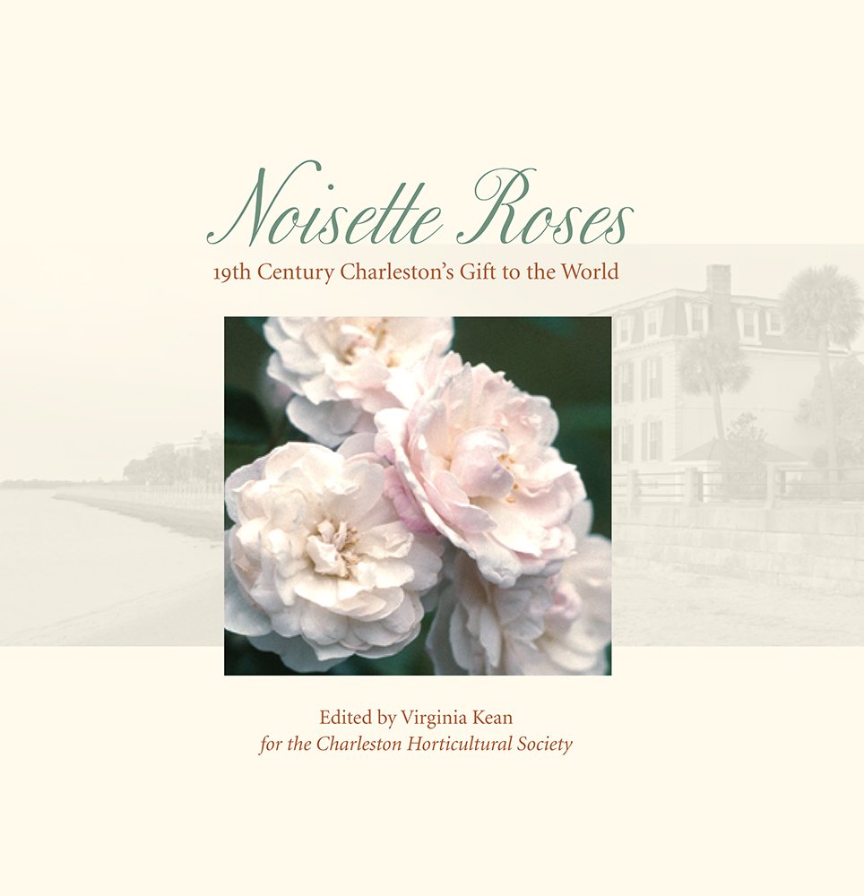 Noisette Roses: 19Th Century Charlestons Gift To The World-new