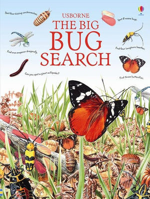 The Big Bug Search,Used