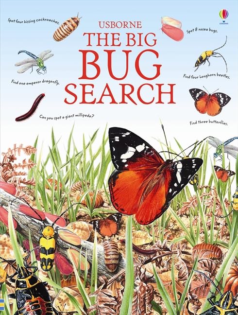 The Big Bug Search,Used